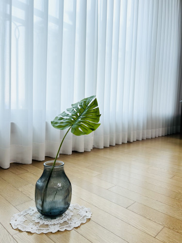 이미지를 찾을 수 없습니다.