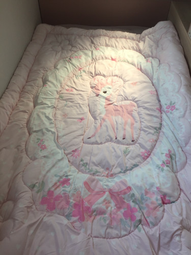 이미지를 찾을 수 없습니다.