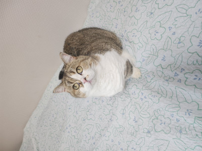 이미지를 찾을 수 없습니다.