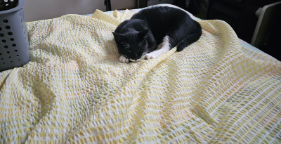 이미지를 찾을 수 없습니다.