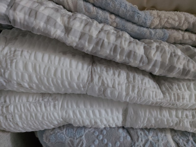 이미지를 찾을 수 없습니다.