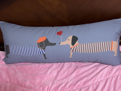 이미지를 찾을 수 없습니다.