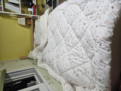 이미지를 찾을 수 없습니다.