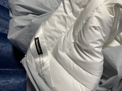 이미지를 찾을 수 없습니다.