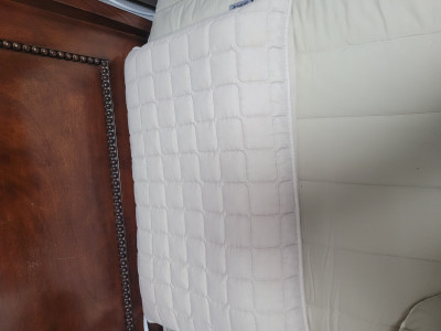 이미지를 찾을 수 없습니다.