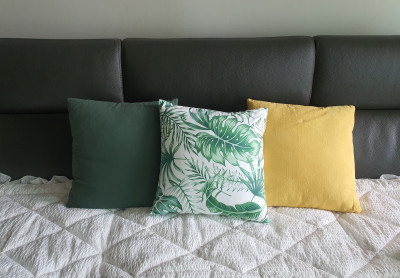 이미지를 찾을 수 없습니다.