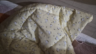 이미지를 찾을 수 없습니다.