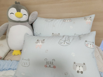 이미지를 찾을 수 없습니다.