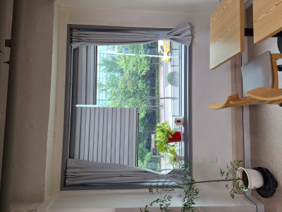 이미지를 찾을 수 없습니다.