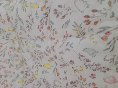 이미지를 찾을 수 없습니다.