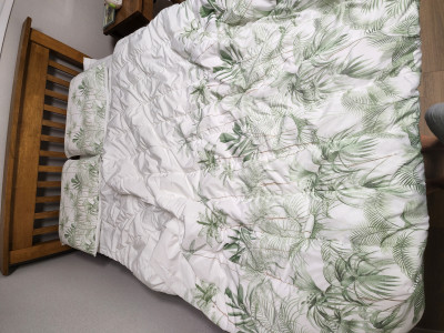 이미지를 찾을 수 없습니다.