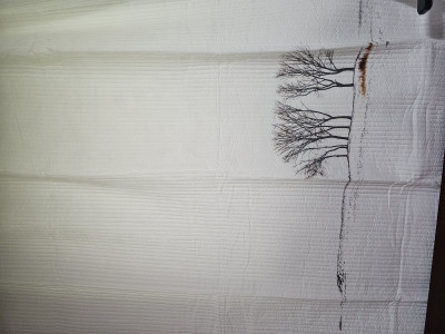 이미지를 찾을 수 없습니다.