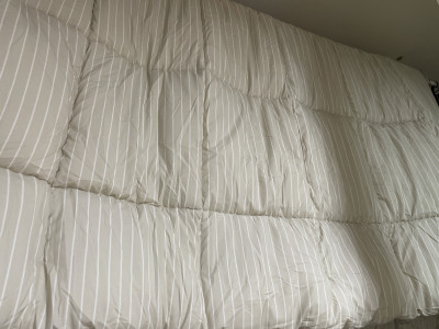 이미지를 찾을 수 없습니다.