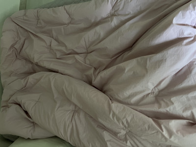 이미지를 찾을 수 없습니다.