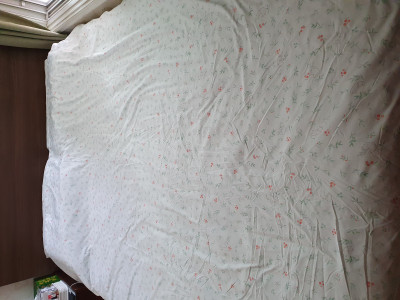 이미지를 찾을 수 없습니다.