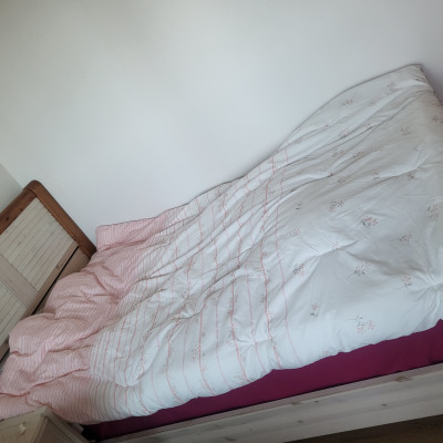 이미지를 찾을 수 없습니다.