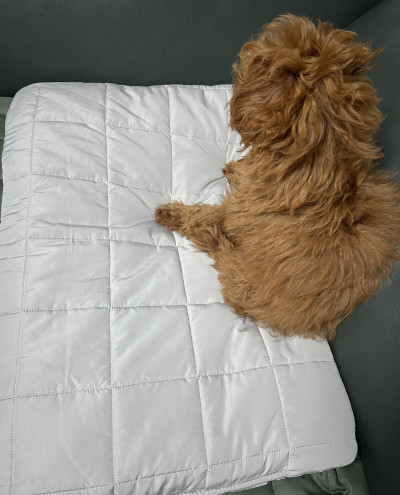 이미지를 찾을 수 없습니다.