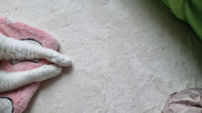 이미지를 찾을 수 없습니다.