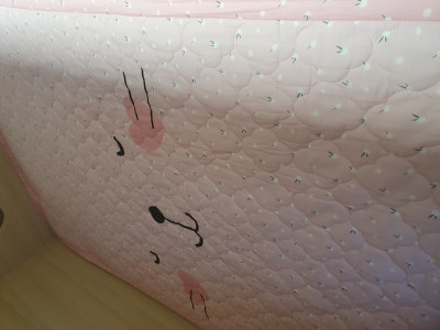 이미지를 찾을 수 없습니다.