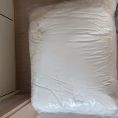 이미지를 찾을 수 없습니다.