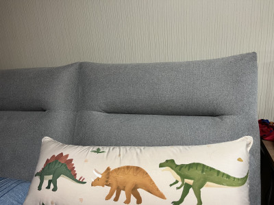 이미지를 찾을 수 없습니다.