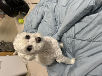 이미지를 찾을 수 없습니다.