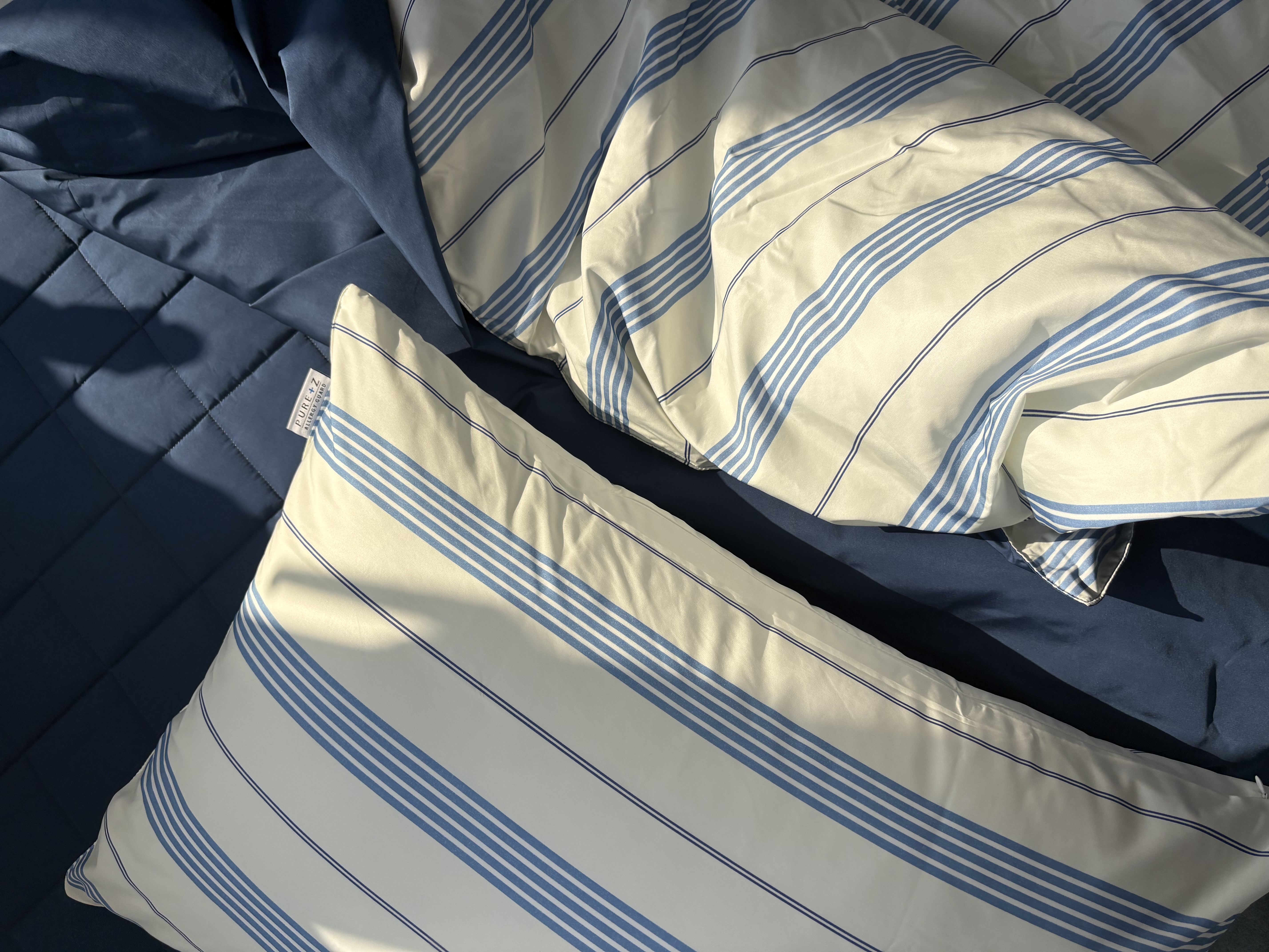 이미지를 찾을 수 없습니다.