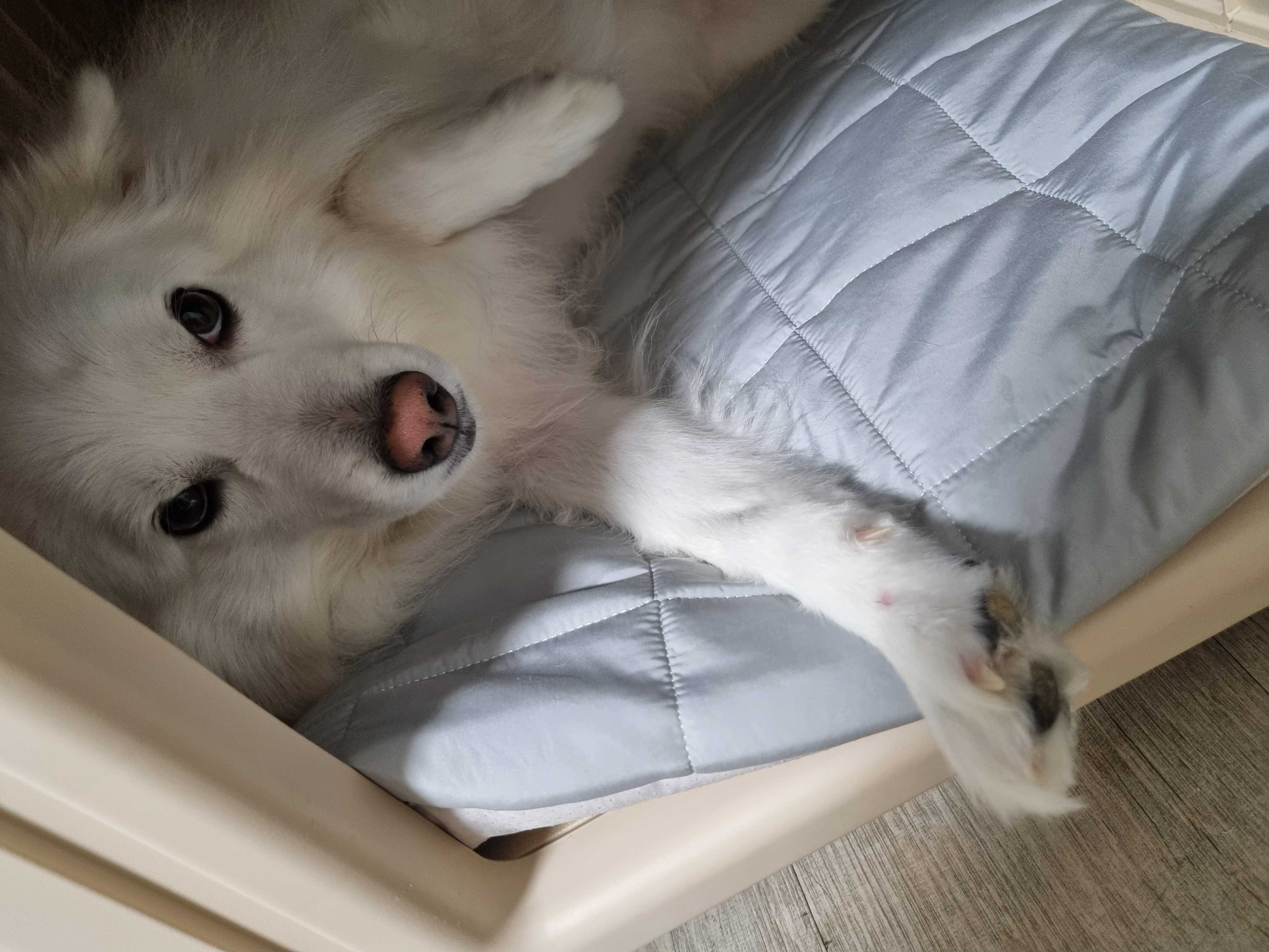 이미지를 찾을 수 없습니다.