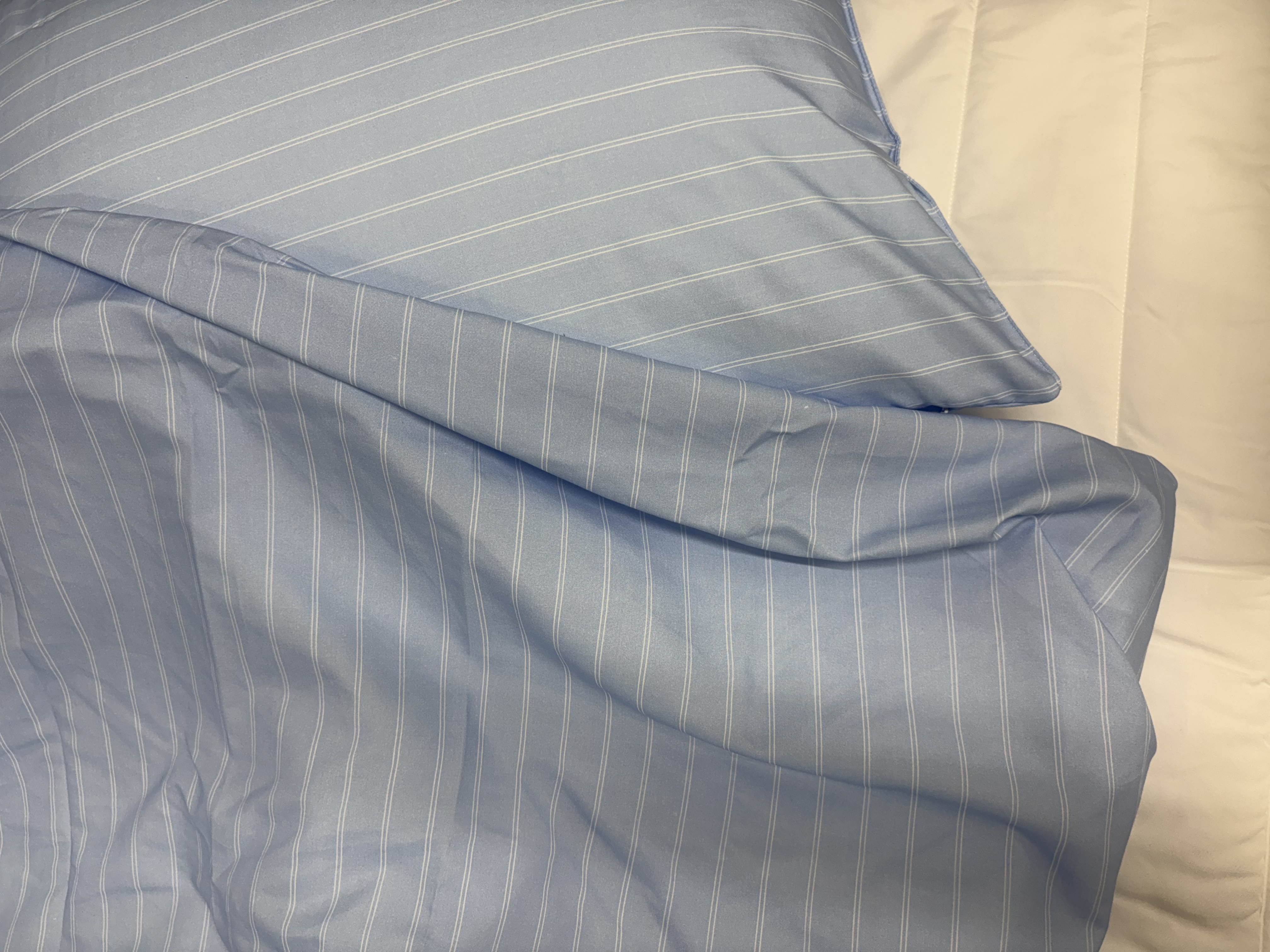 이미지를 찾을 수 없습니다.