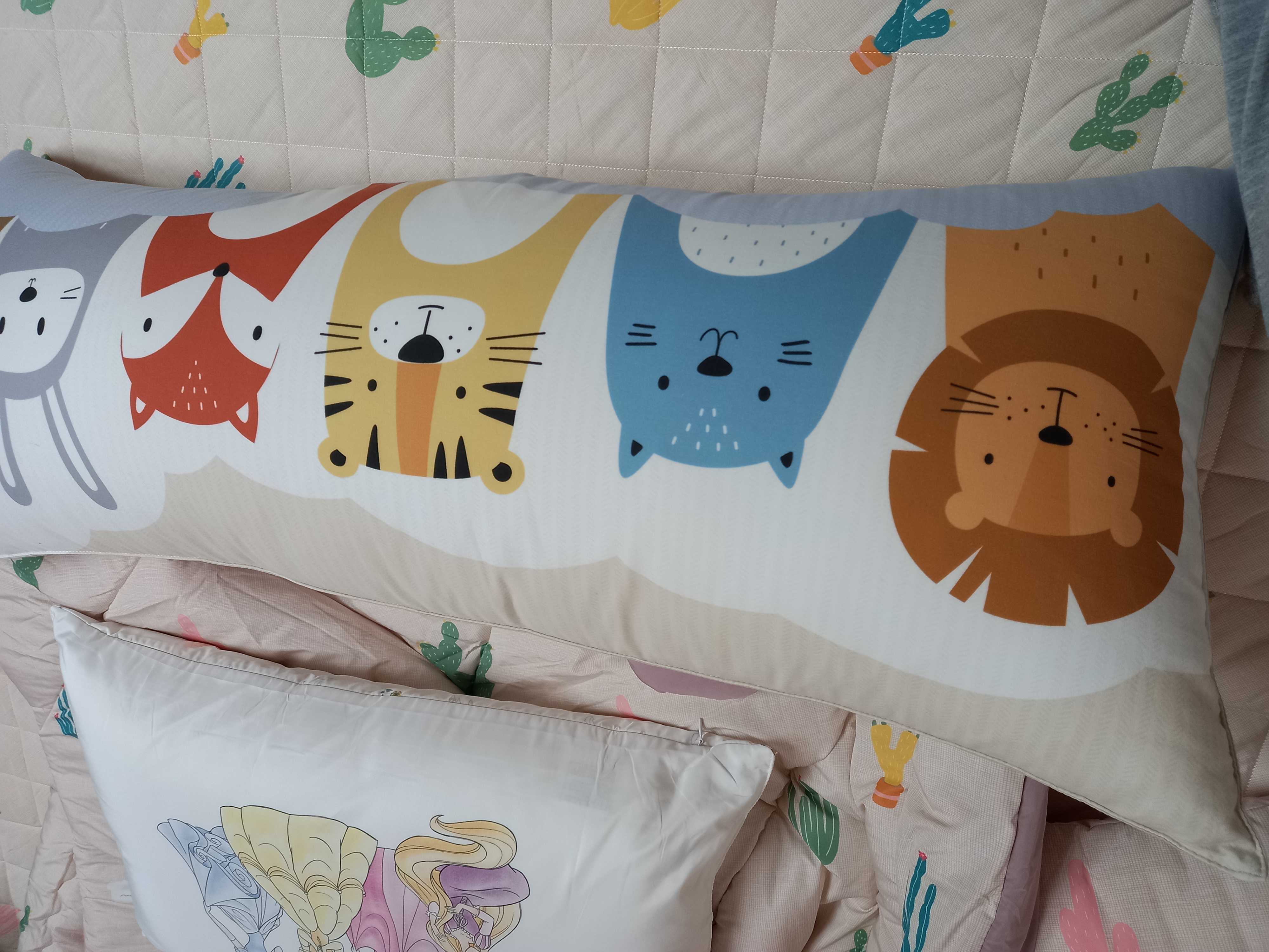 이미지를 찾을 수 없습니다.