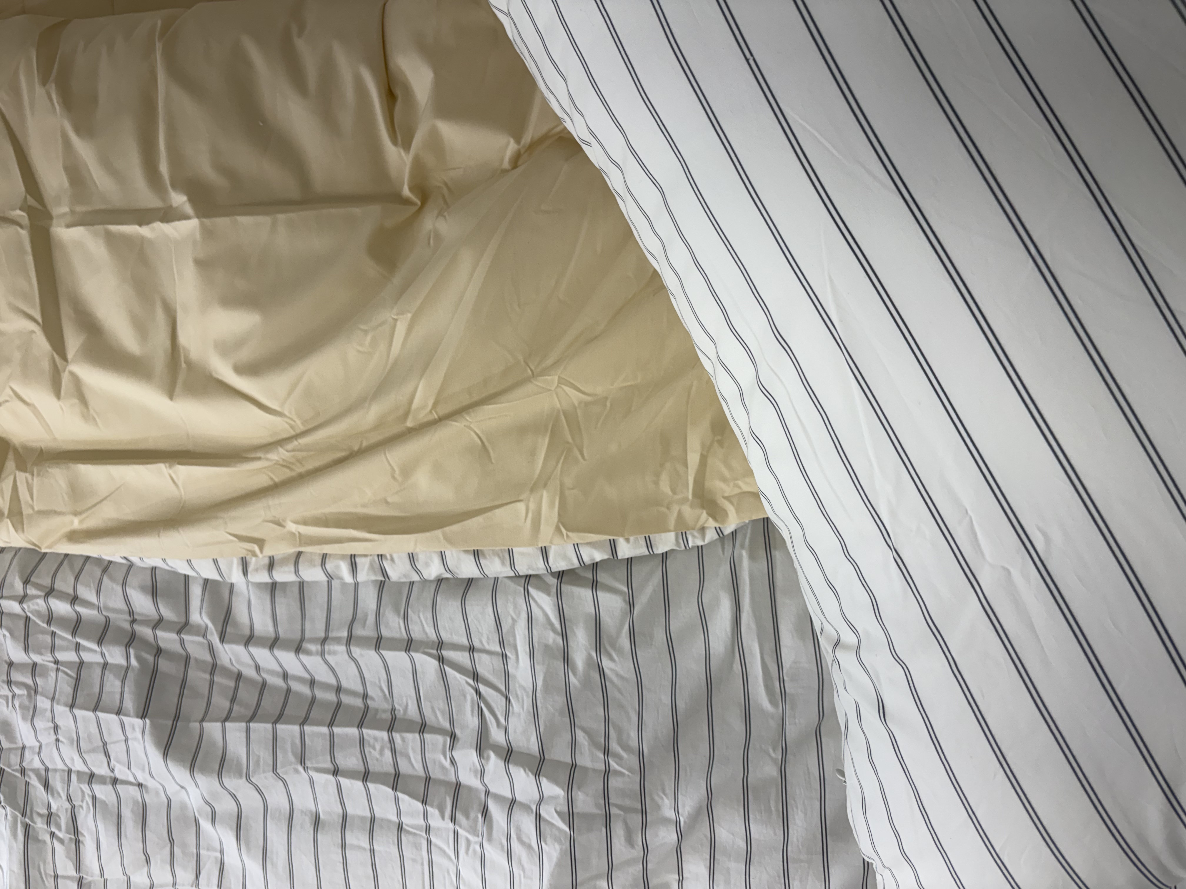 이미지를 찾을 수 없습니다.