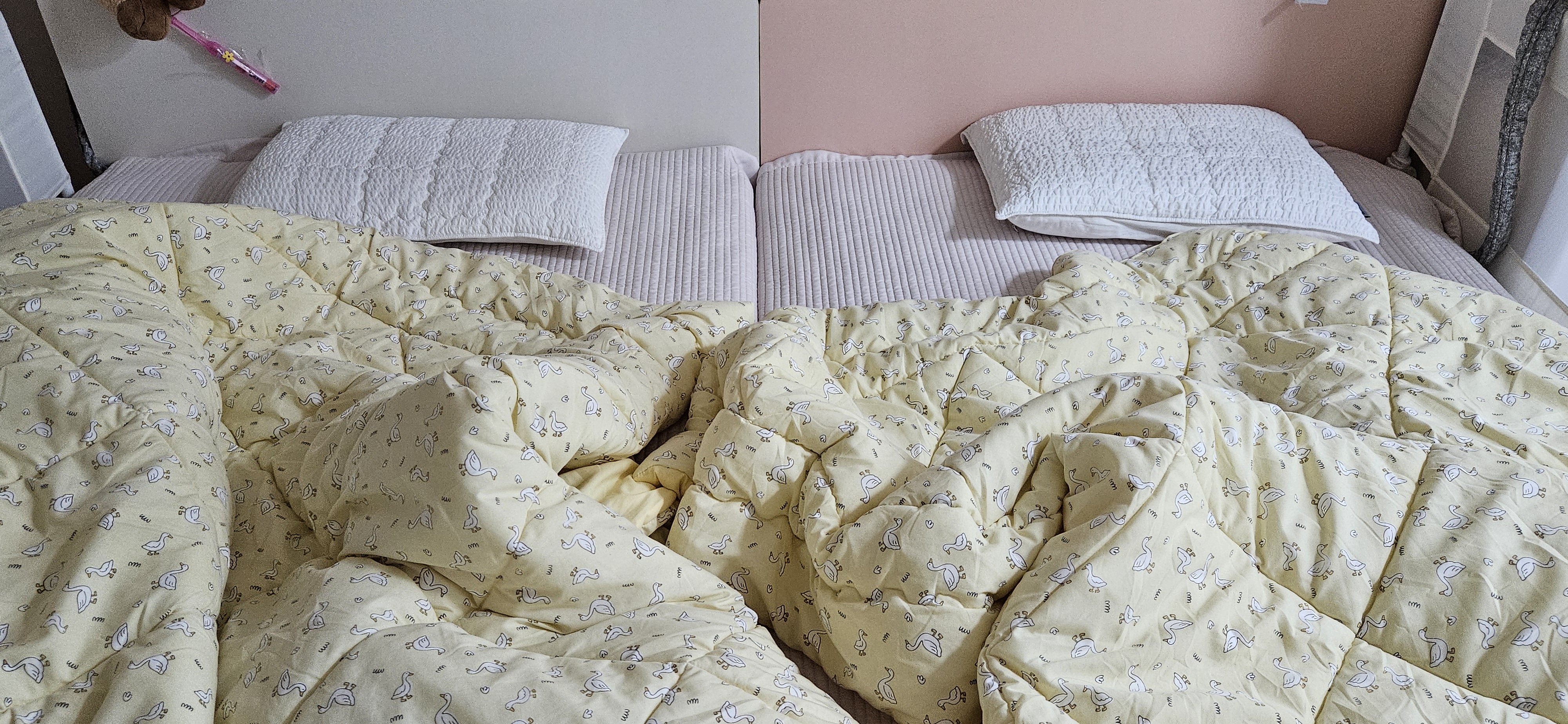 이미지를 찾을 수 없습니다.