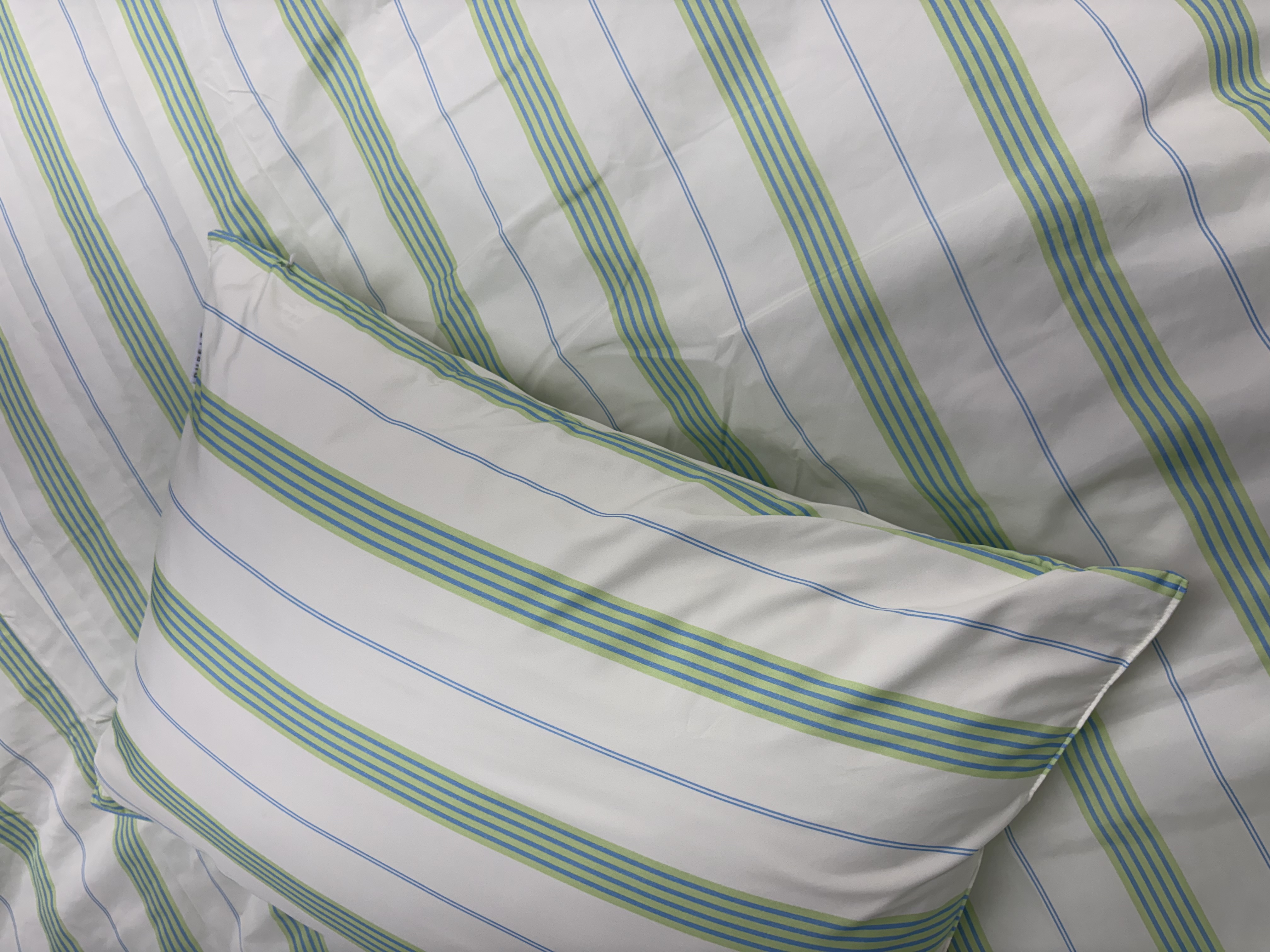 이미지를 찾을 수 없습니다.