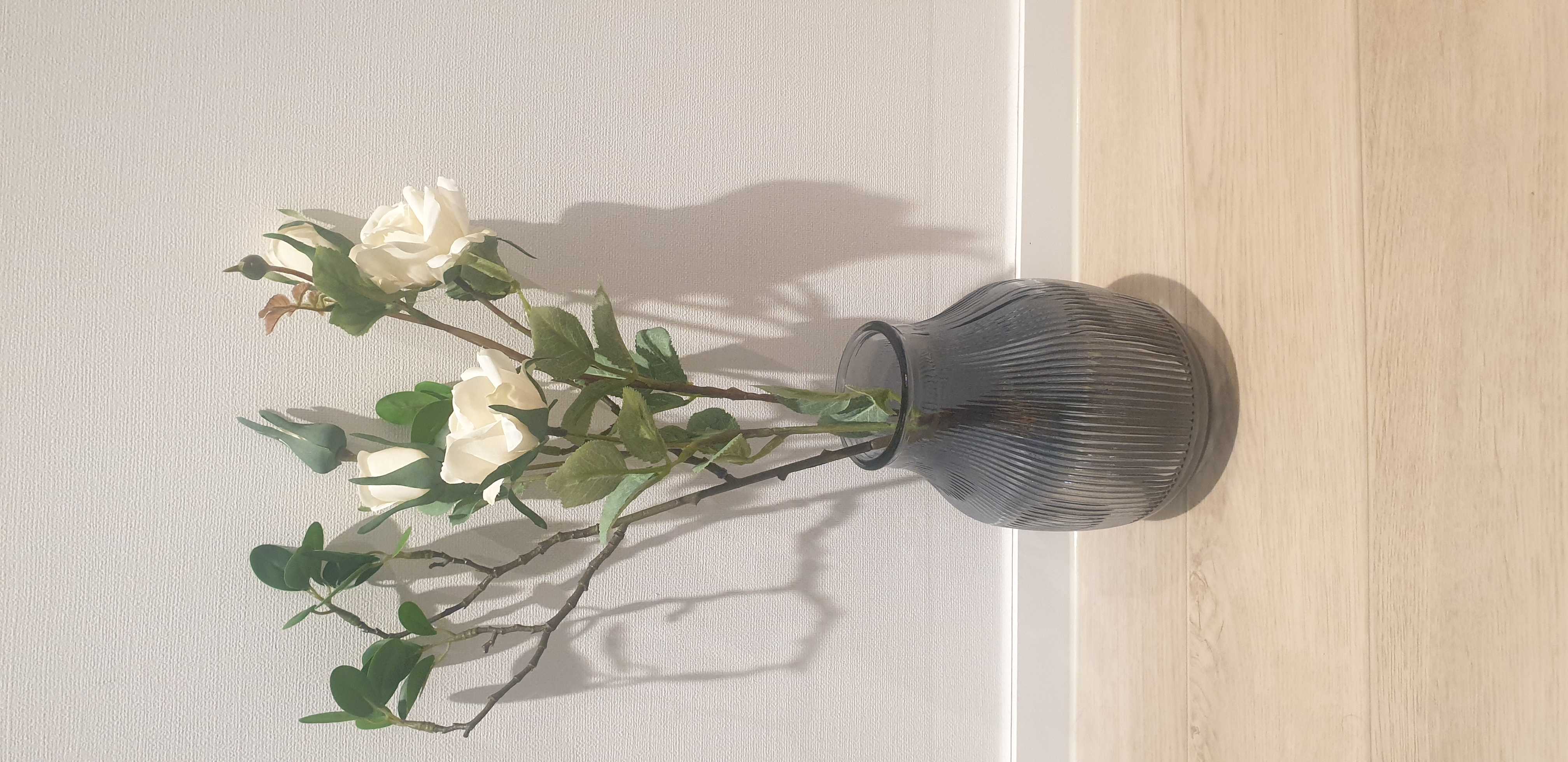 이미지를 찾을 수 없습니다.