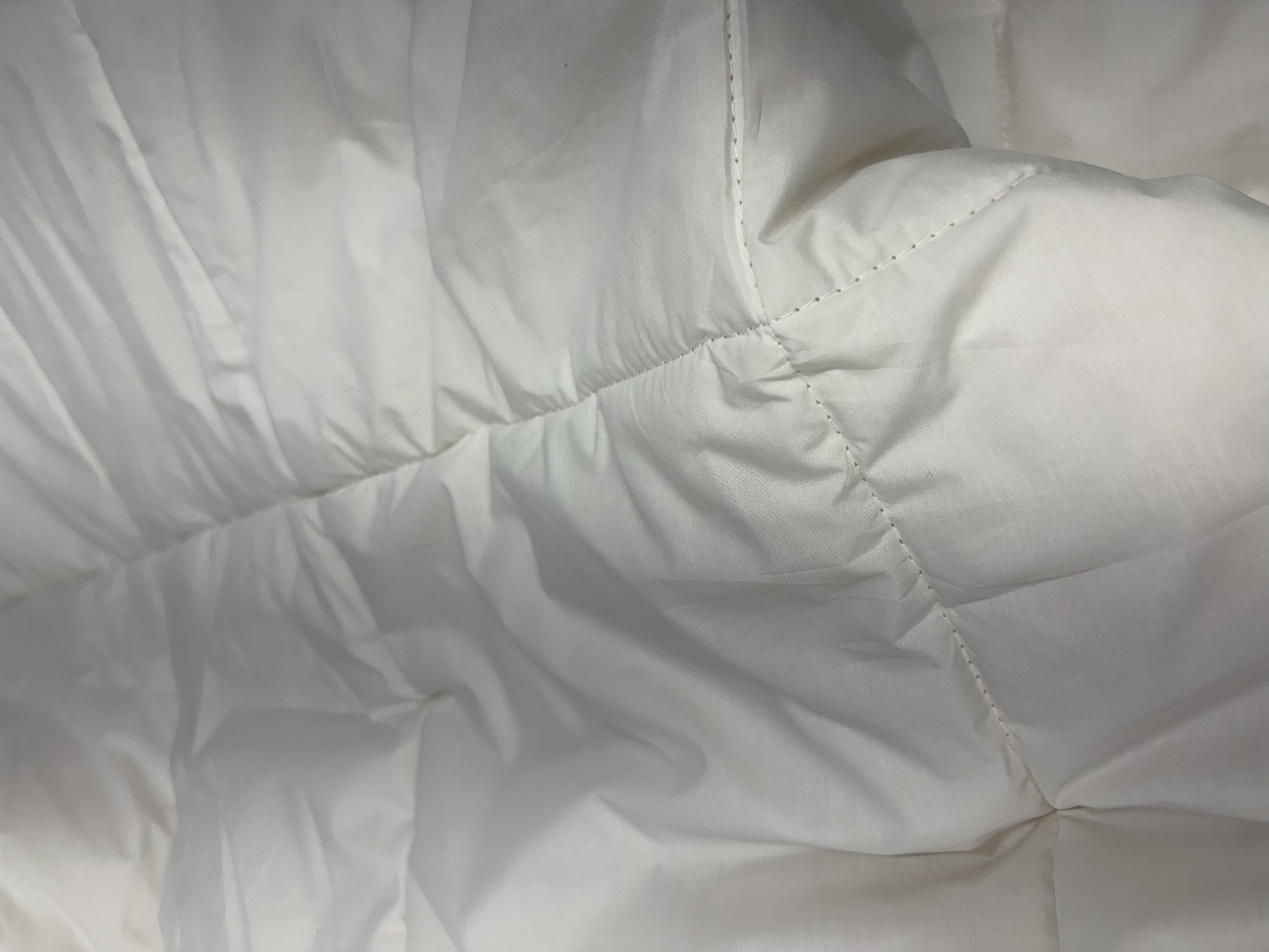 이미지를 찾을 수 없습니다.