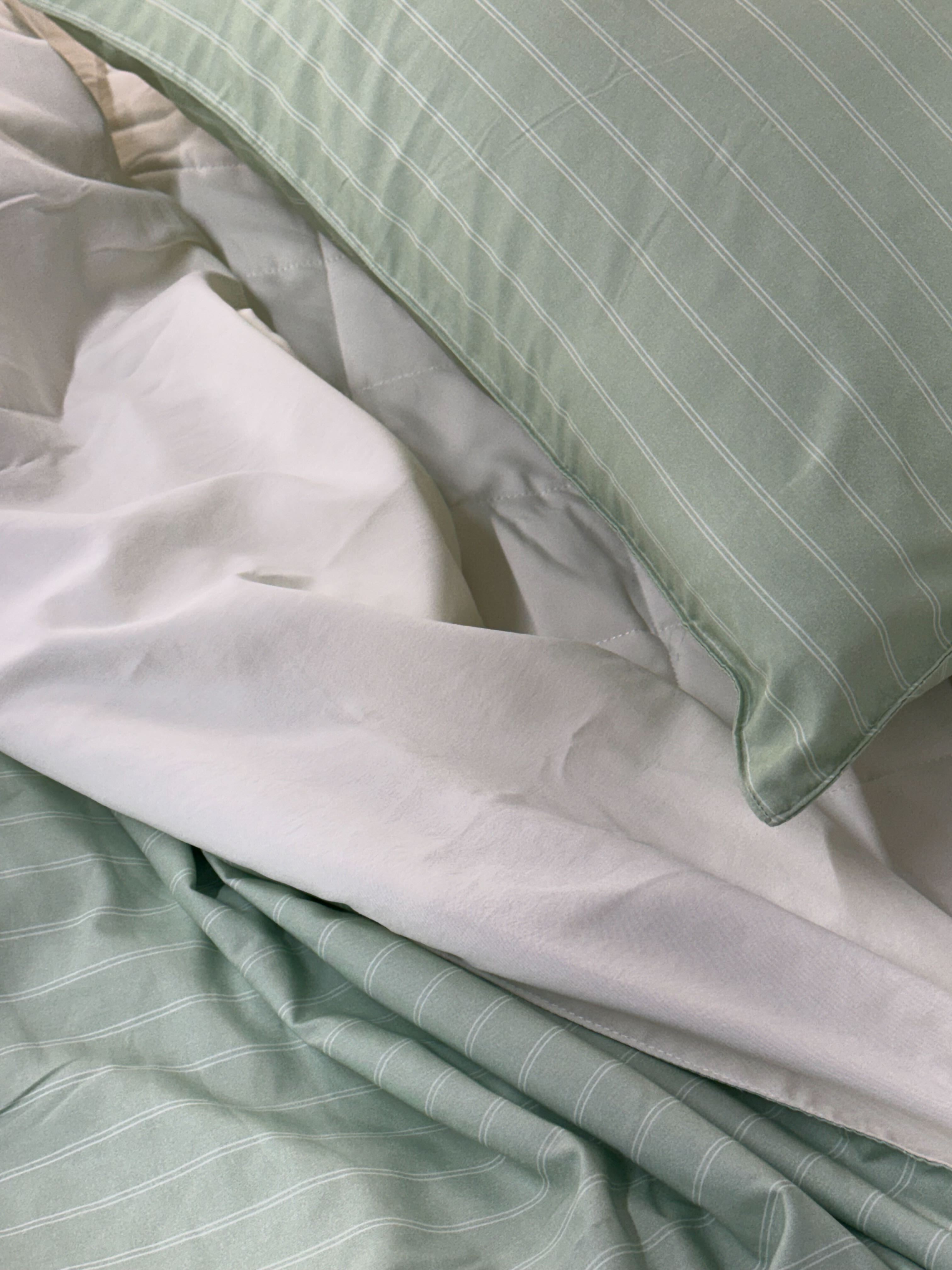 이미지를 찾을 수 없습니다.