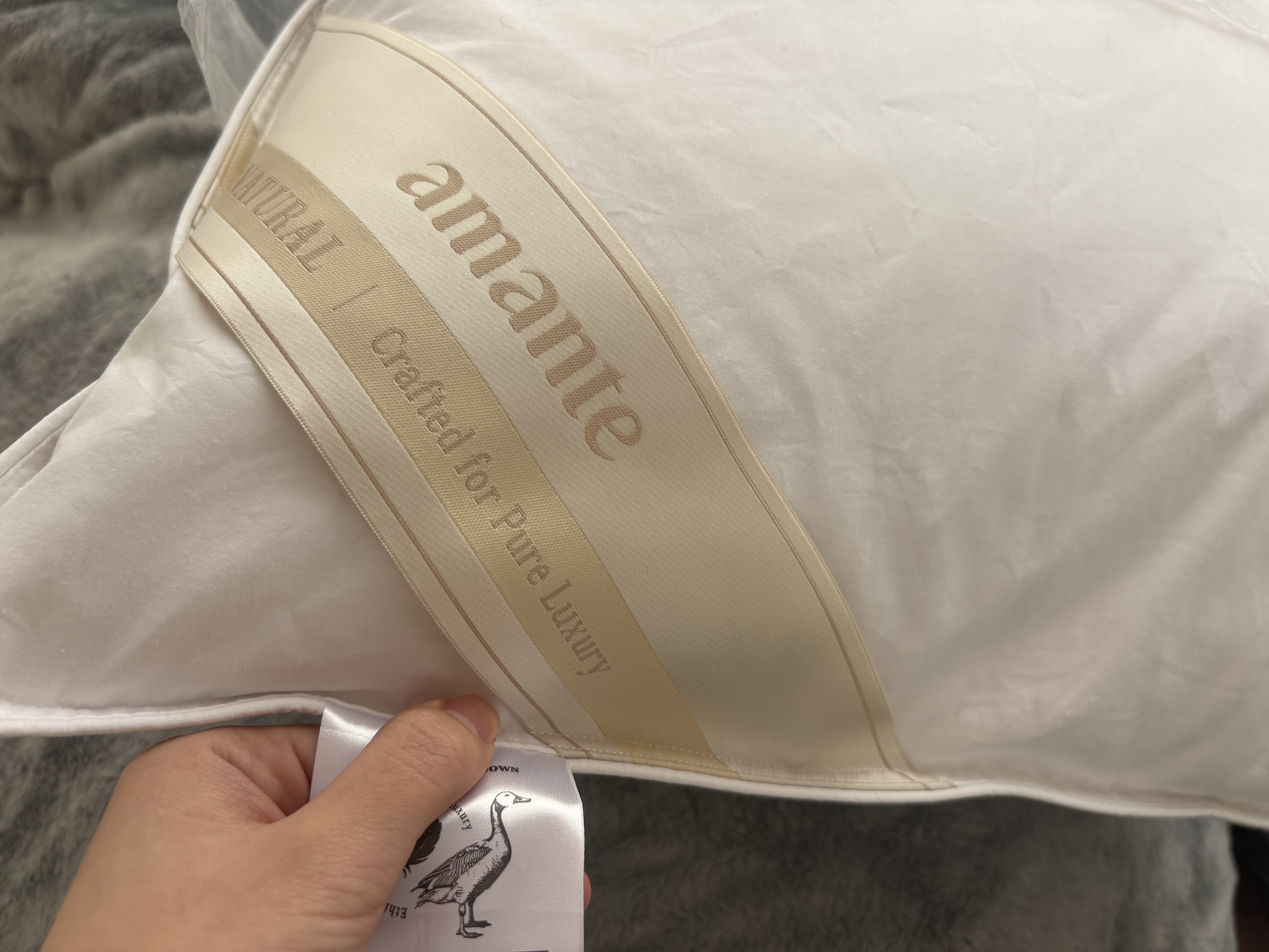 이미지를 찾을 수 없습니다.