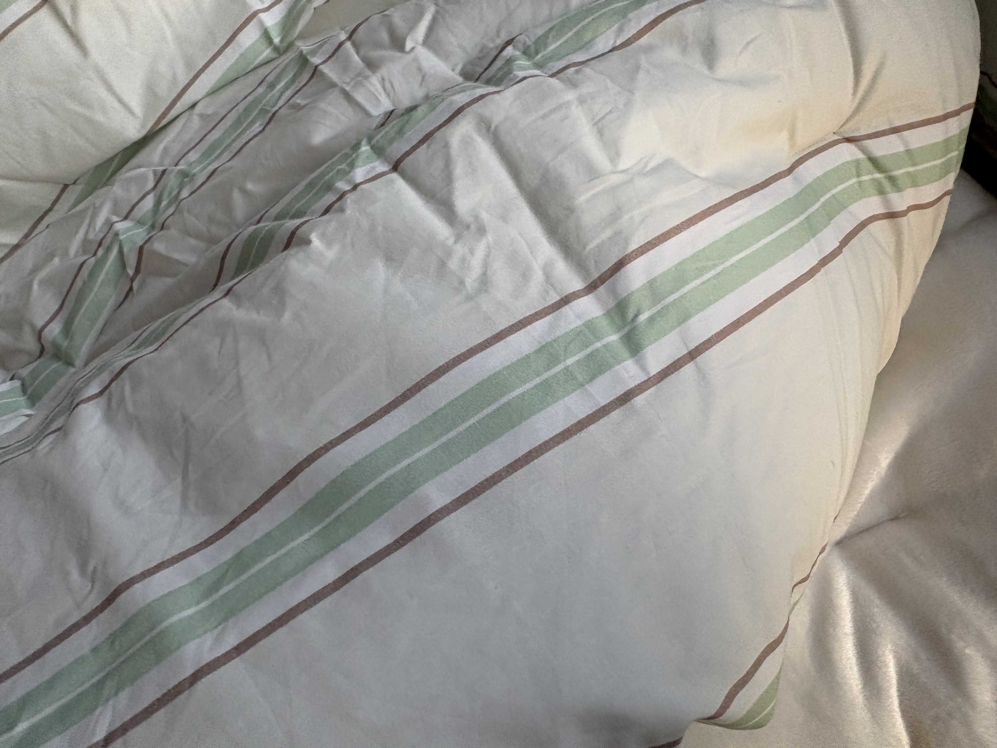 이미지를 찾을 수 없습니다.