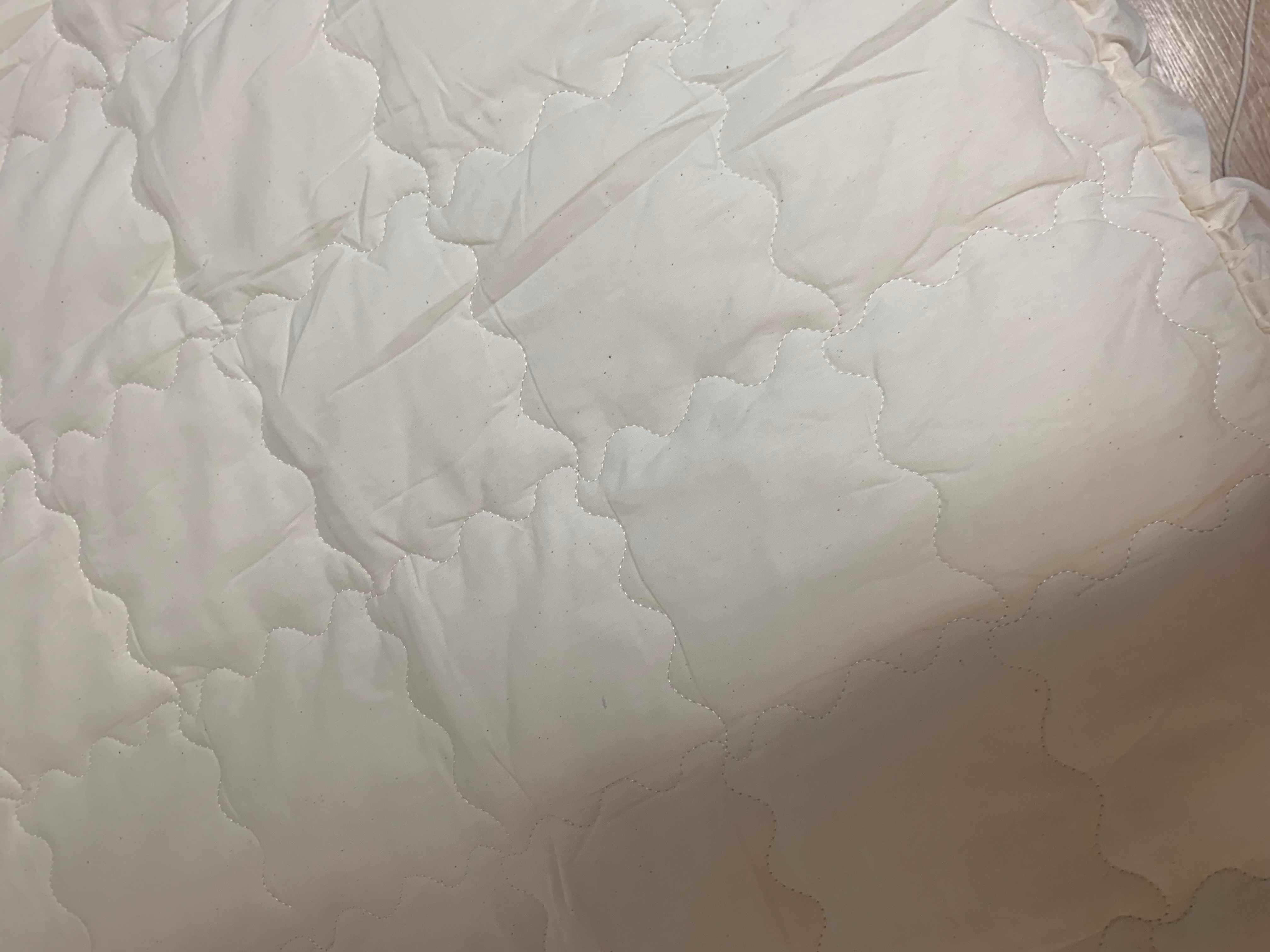 이미지를 찾을 수 없습니다.