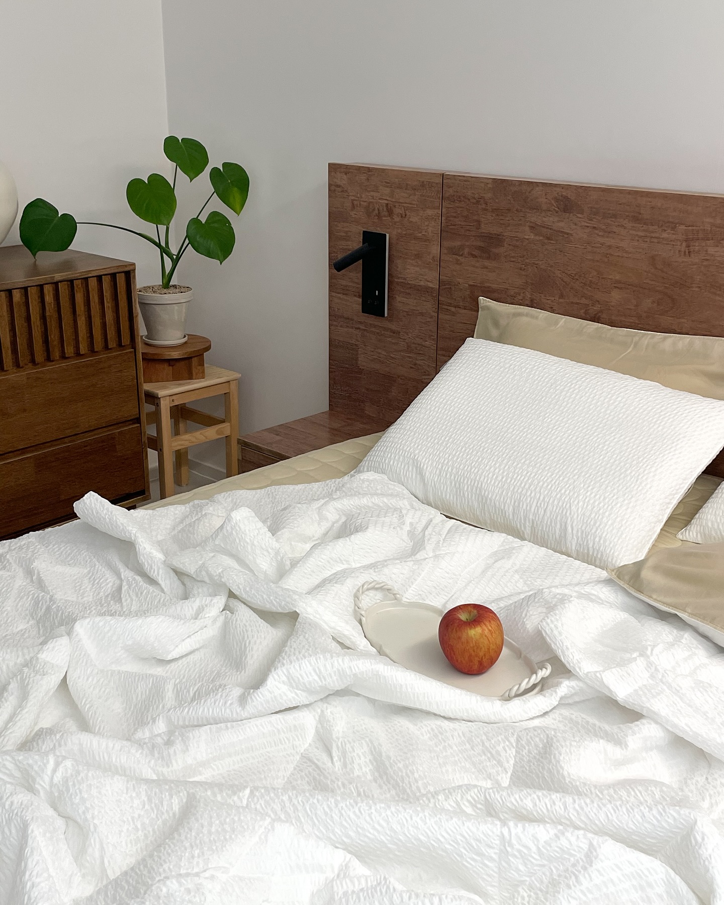 이미지를 찾을 수 없습니다.