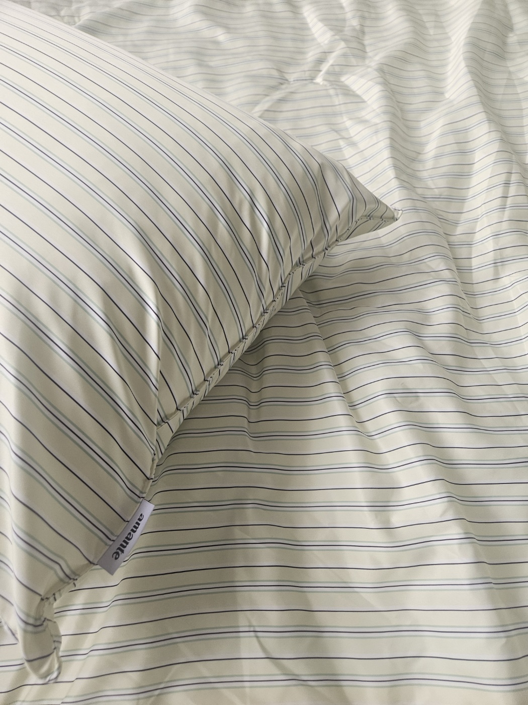 이미지를 찾을 수 없습니다.