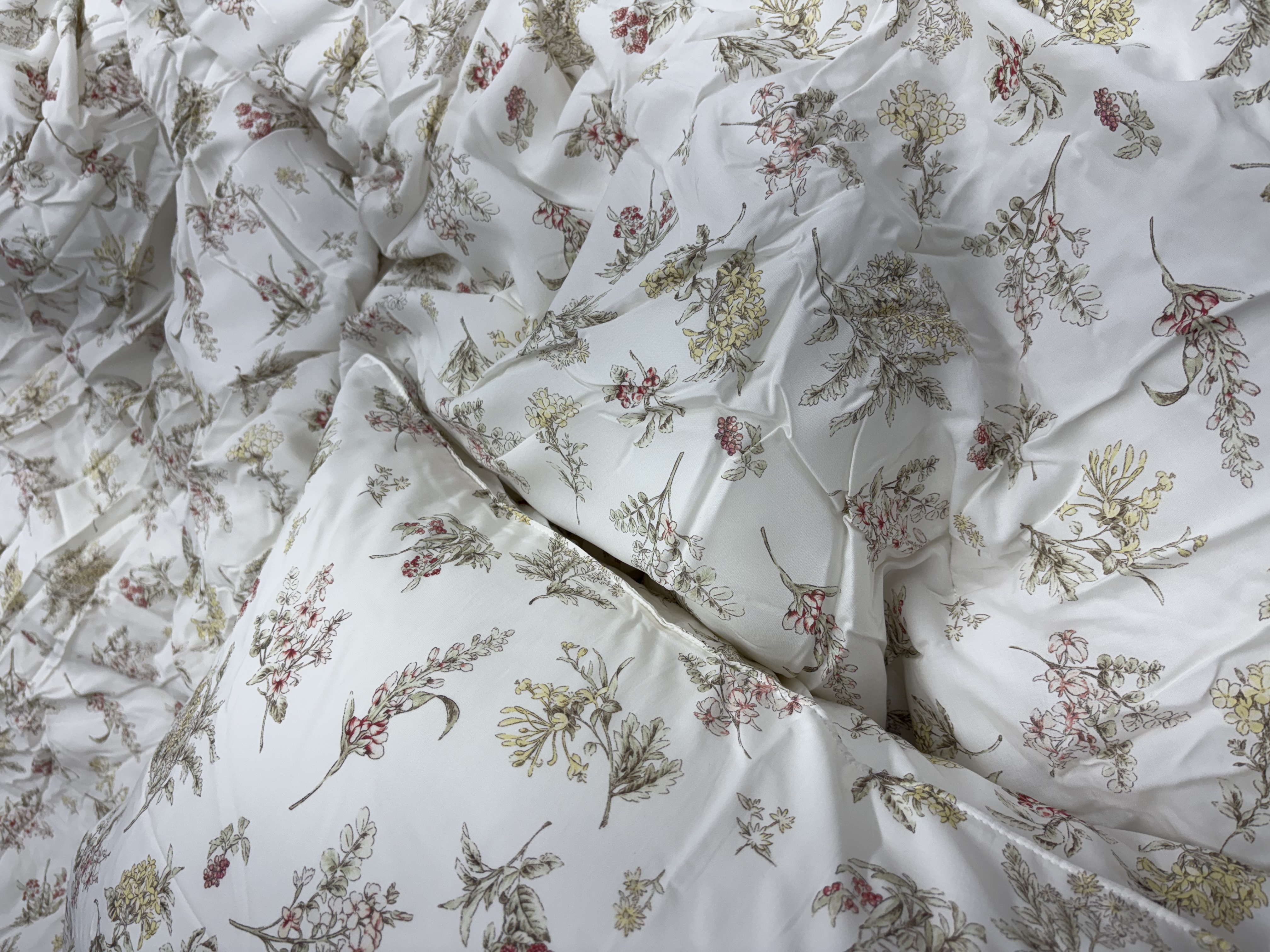 이미지를 찾을 수 없습니다.