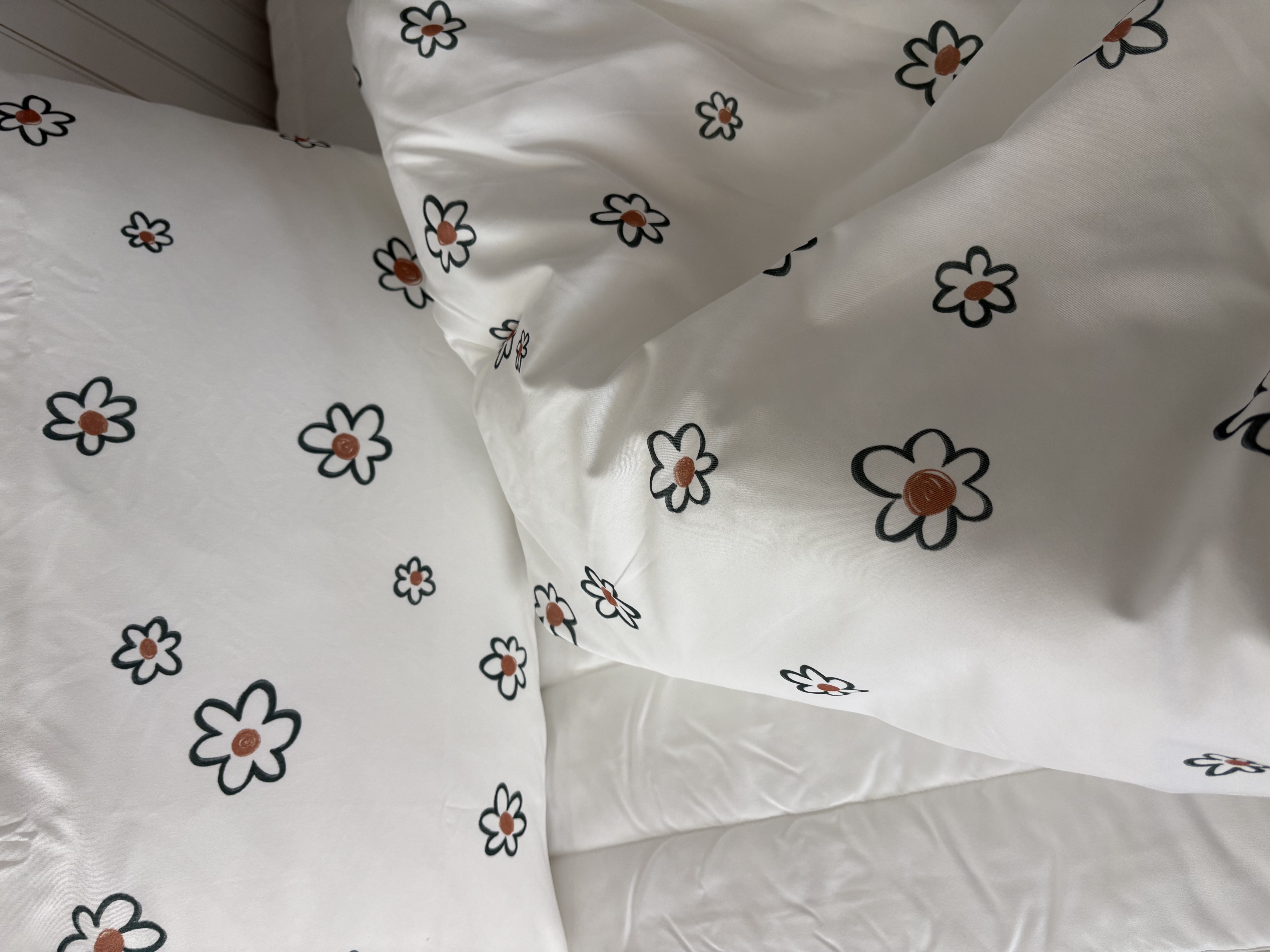 이미지를 찾을 수 없습니다.