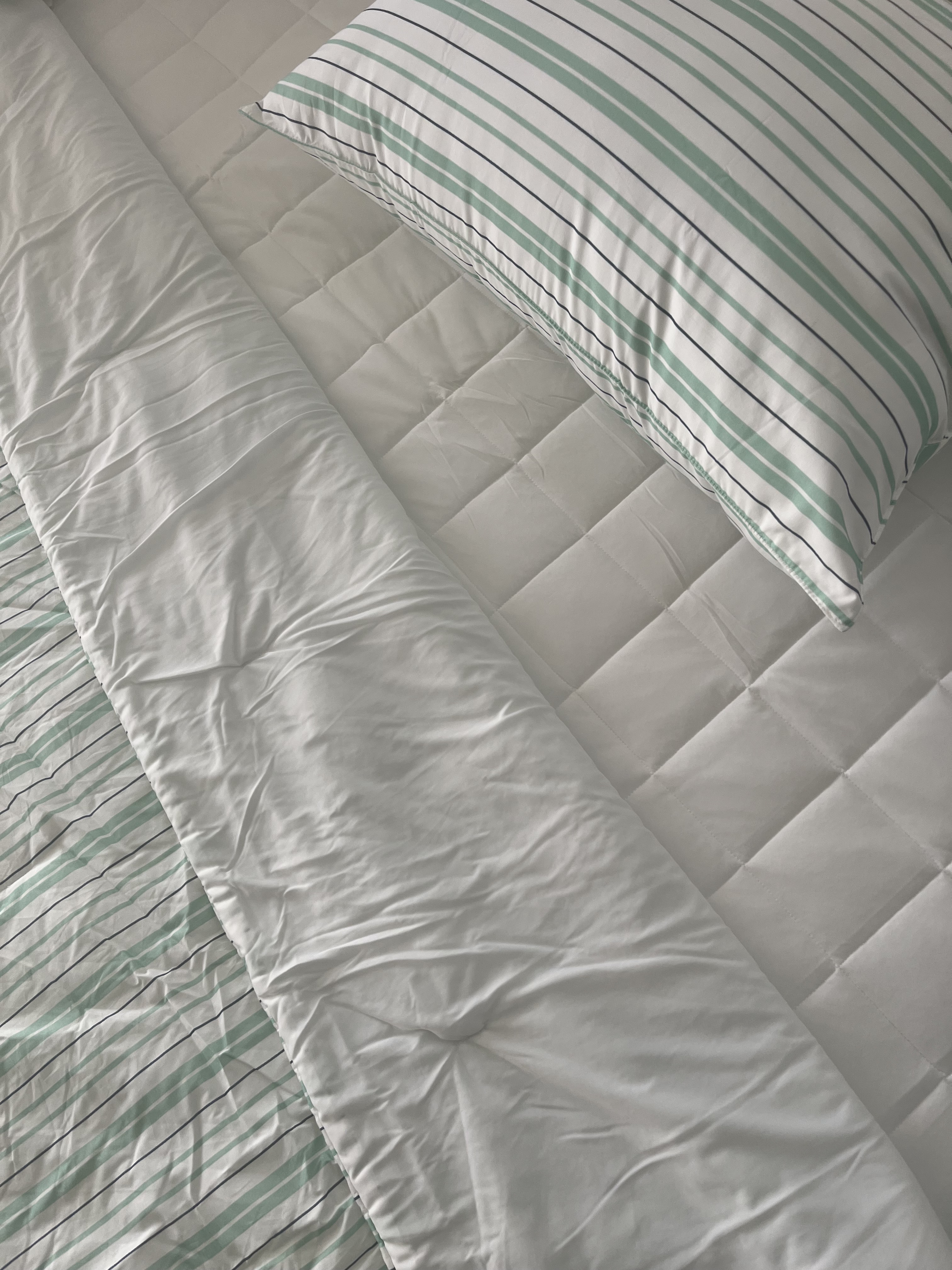 이미지를 찾을 수 없습니다.