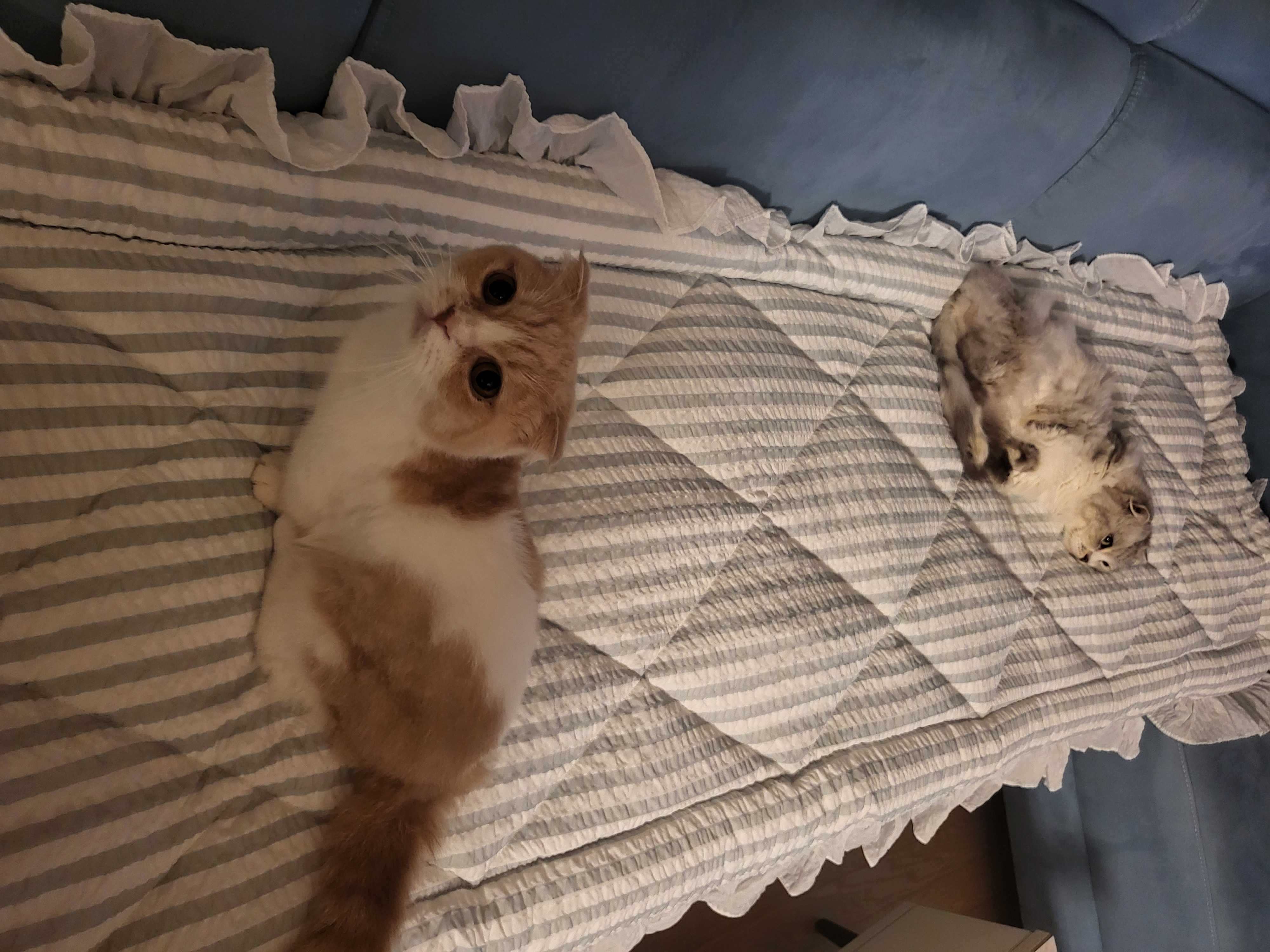 이미지를 찾을 수 없습니다.