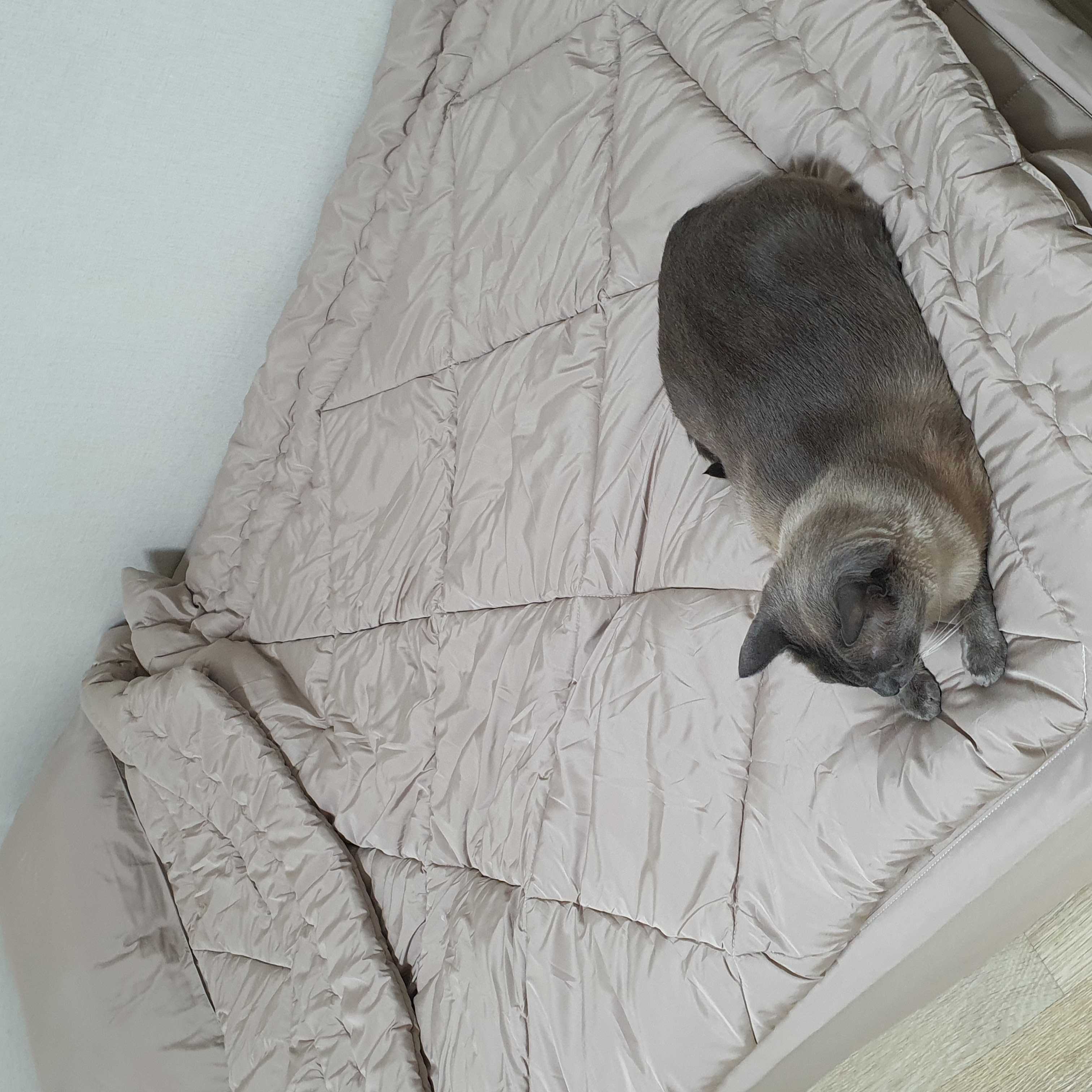 이미지를 찾을 수 없습니다.