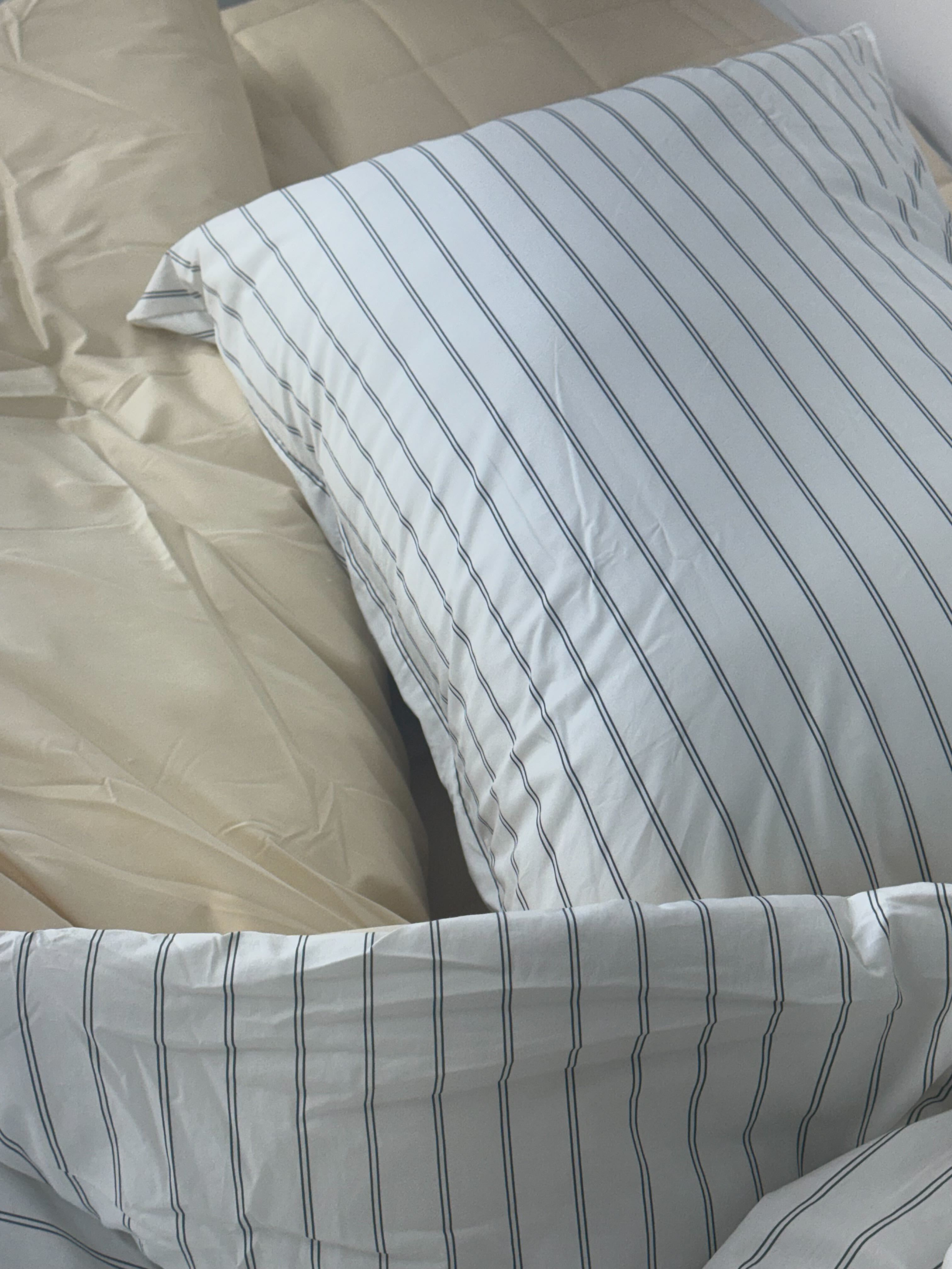 이미지를 찾을 수 없습니다.