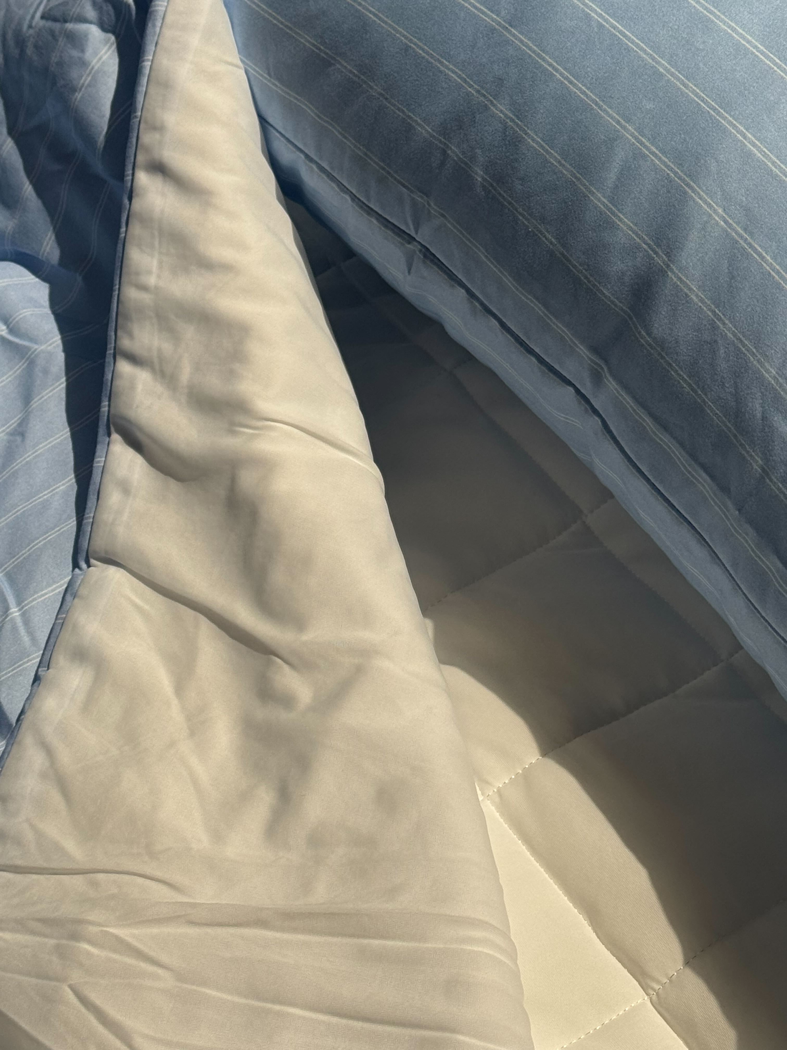 이미지를 찾을 수 없습니다.