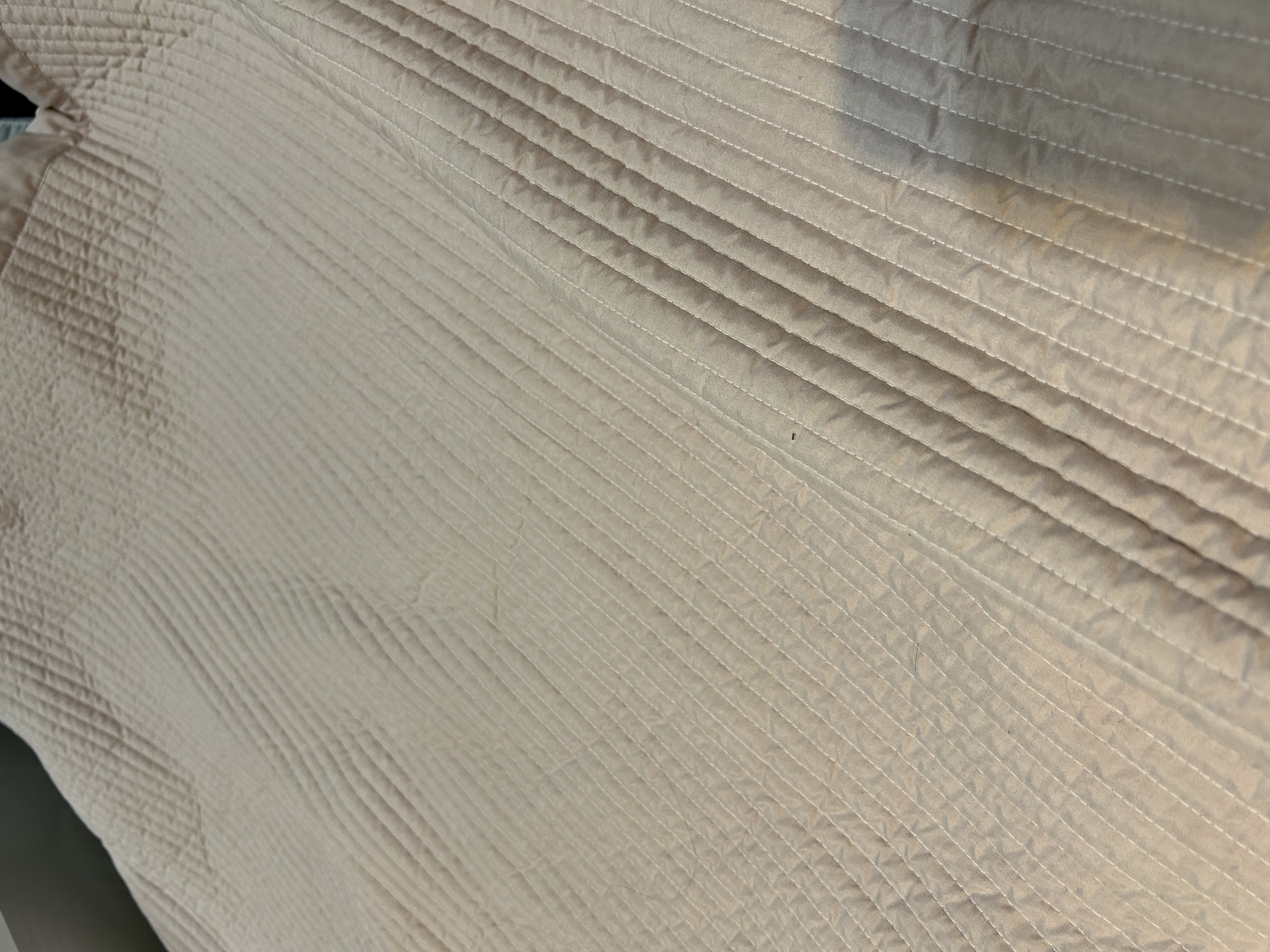 이미지를 찾을 수 없습니다.