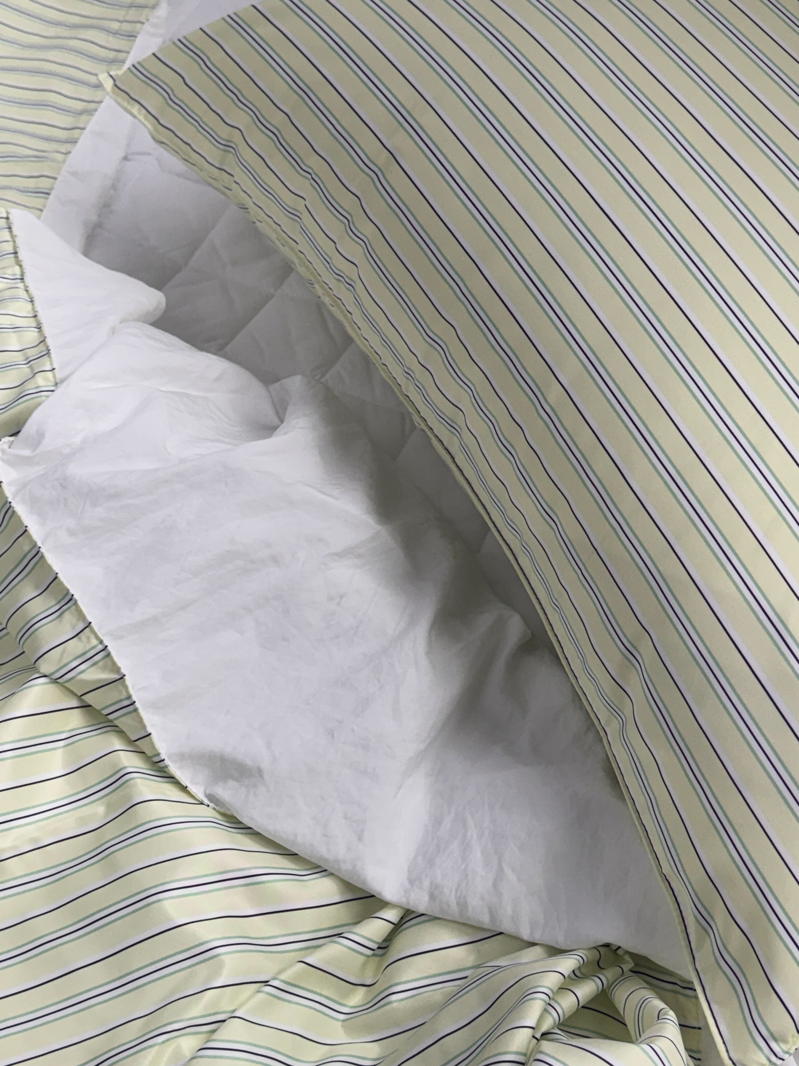 이미지를 찾을 수 없습니다.